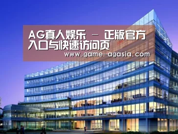 案例展示五