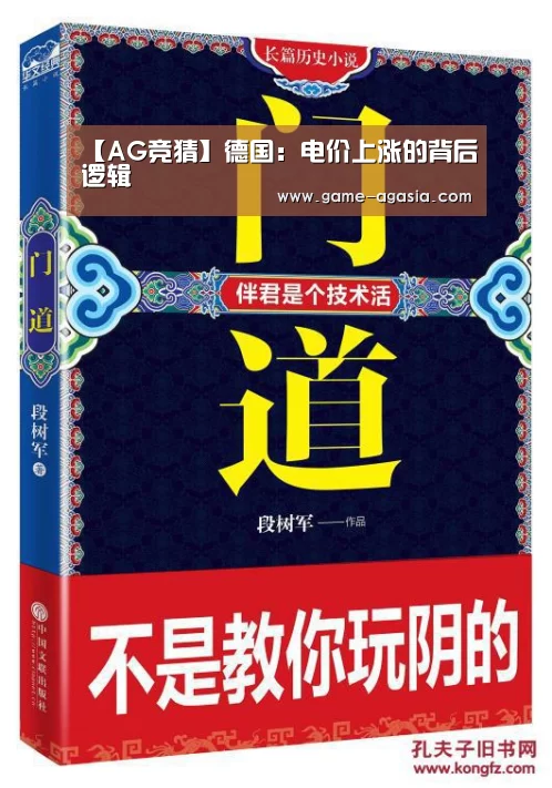 【AG竞猜】德国:电价上涨的背后逻辑(图2) AG视讯