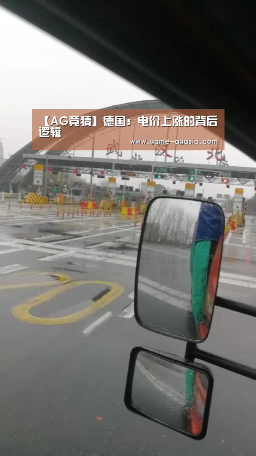 【AG竞猜】德国:电价上涨的背后逻辑(图3) AG真人